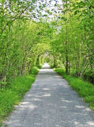 Stresa - Sesto Calende - Abbiategrasso