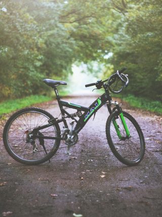 Radfahren durch die Bocas Weinberge