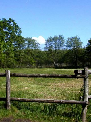 Lagoni Park