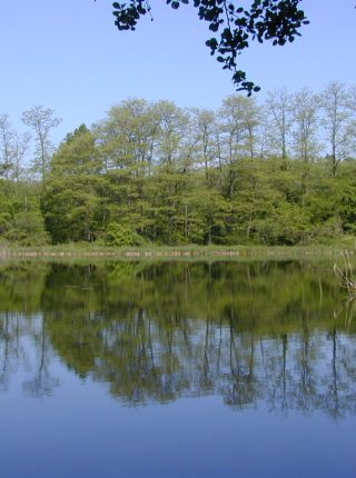 Lagoni Park