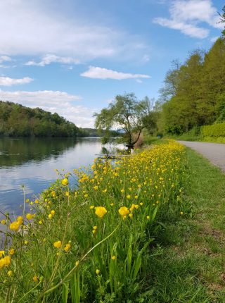 Stresa - Sesto Calende - Abbiategrasso