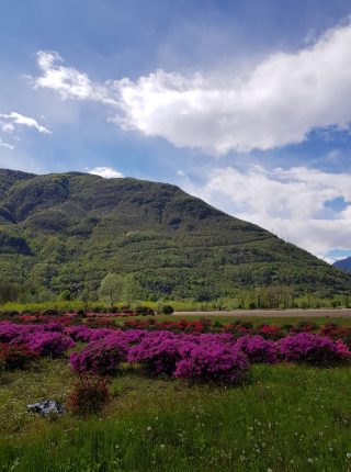 Stresa-Fondotoce-Mergozzo