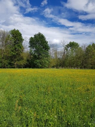 Stresa-Fondotoce-Mergozzo