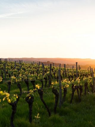 Tra il Sesia ed i Vigneti dei Colli Novaresi