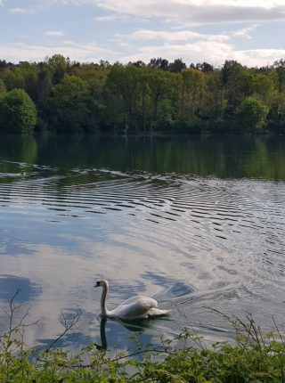 Ciclabile del fiume Ticino
