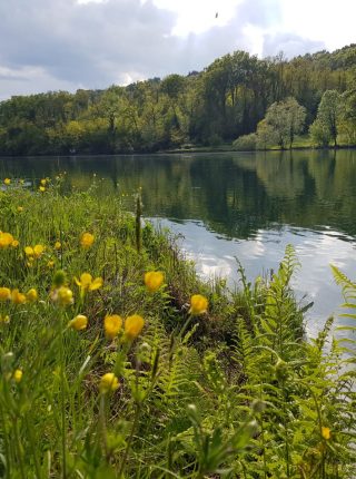 Ciclabile del fiume Ticino