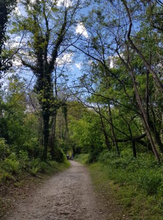Stresa-Fondotoce-Mergozzo