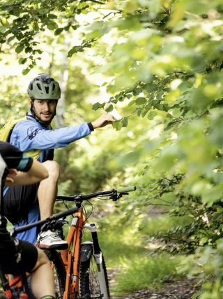 Stresa - Mottarone - Stresa