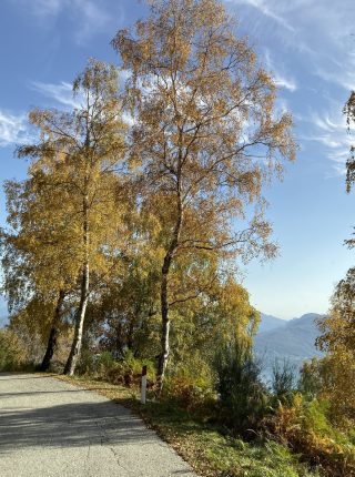 Verbano Cadorna Line