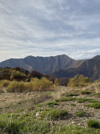 Verbano Cadorna Line