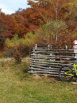 Verbano Cadorna Line